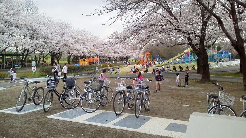 [画像]