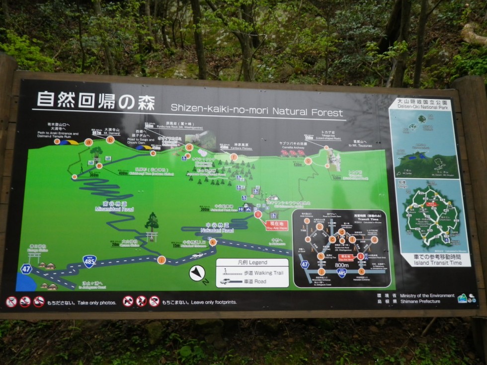 [画像]