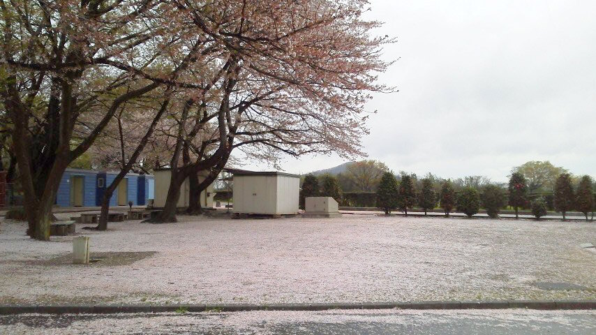 [画像]