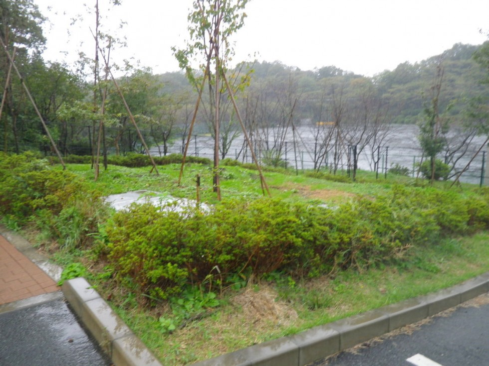 [画像]