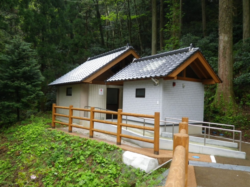 [画像]