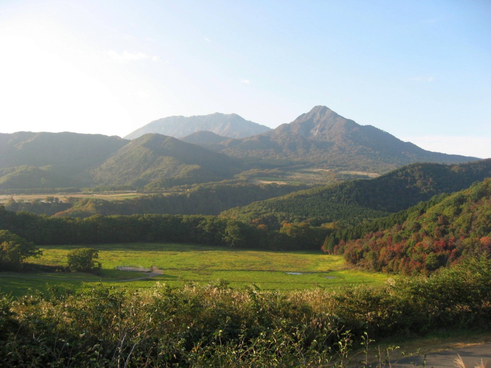 [画像]