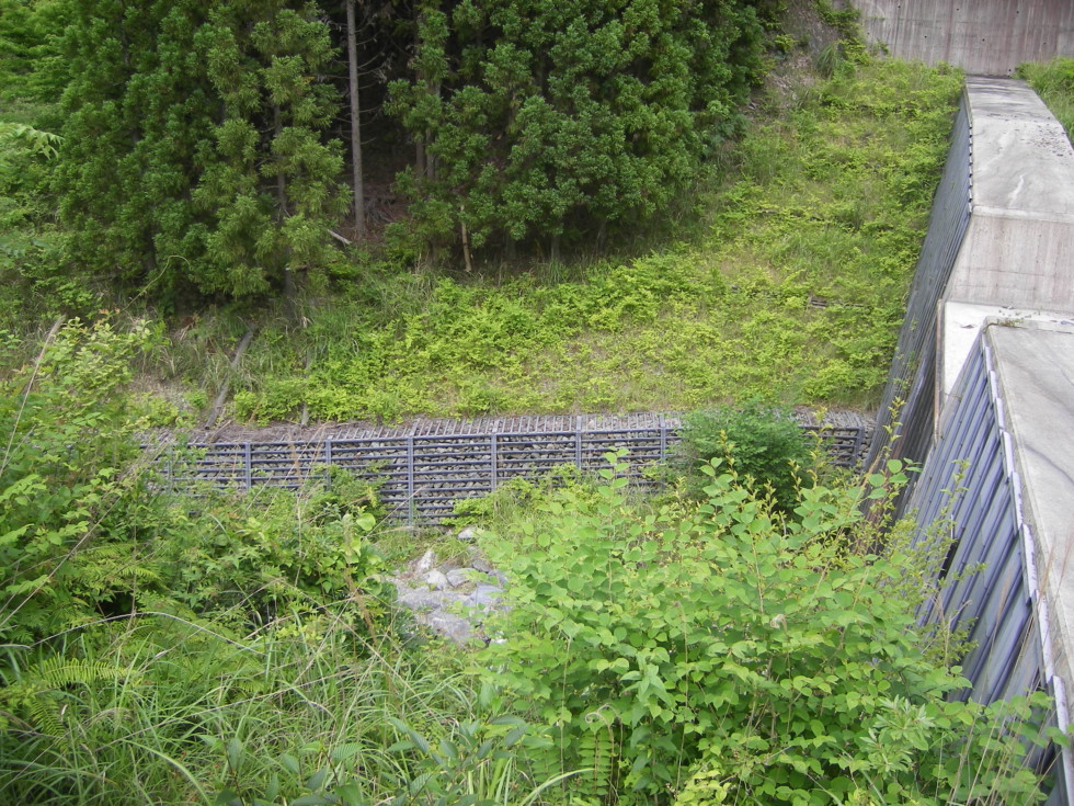 [画像]