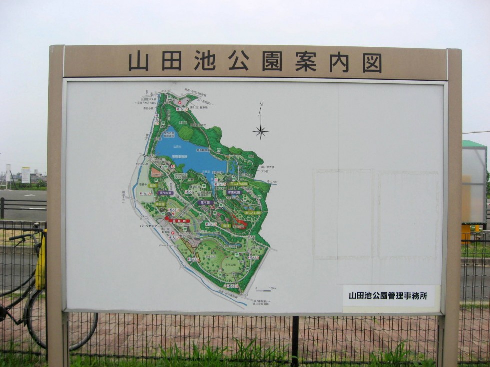 [画像]