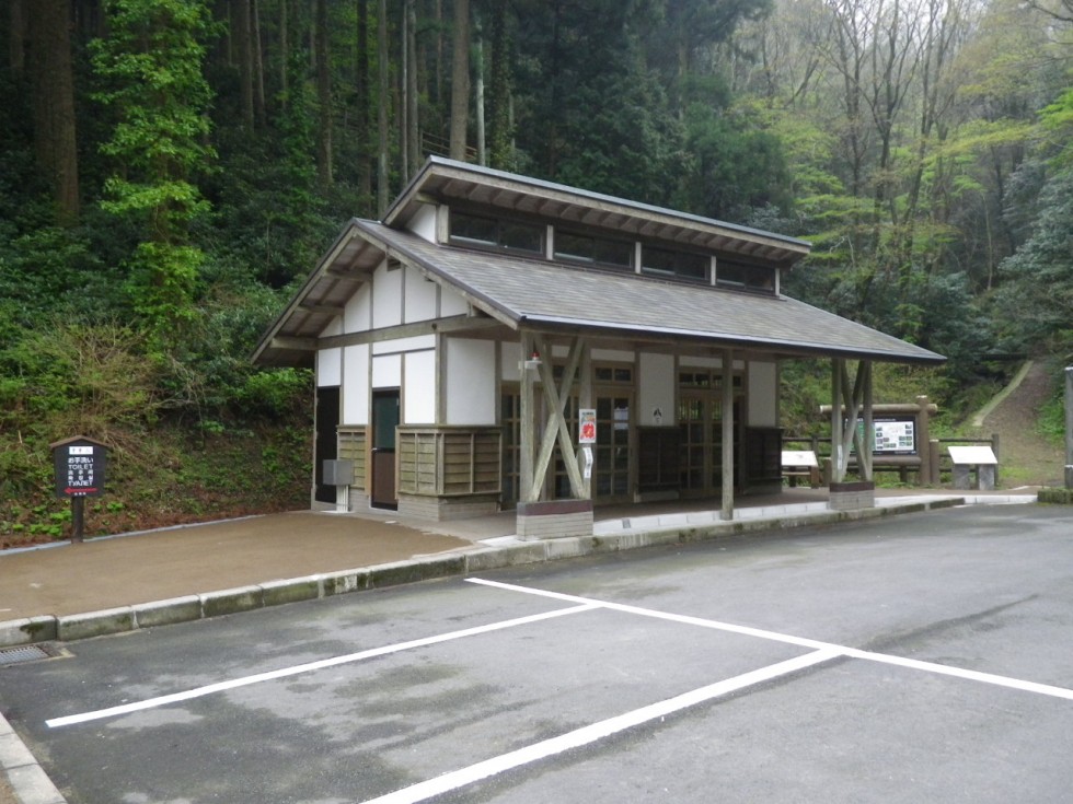 [画像]