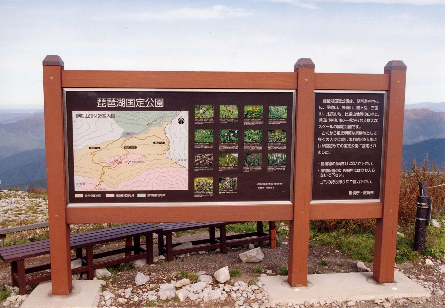 [画像]