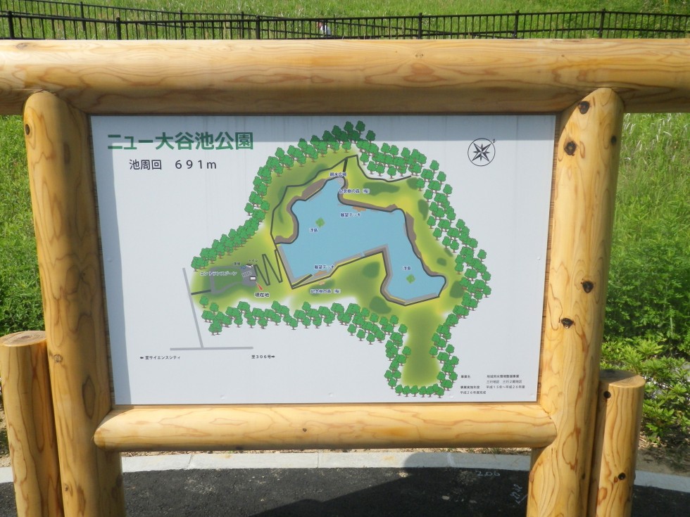 [画像]
