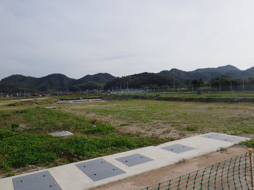 [画像]