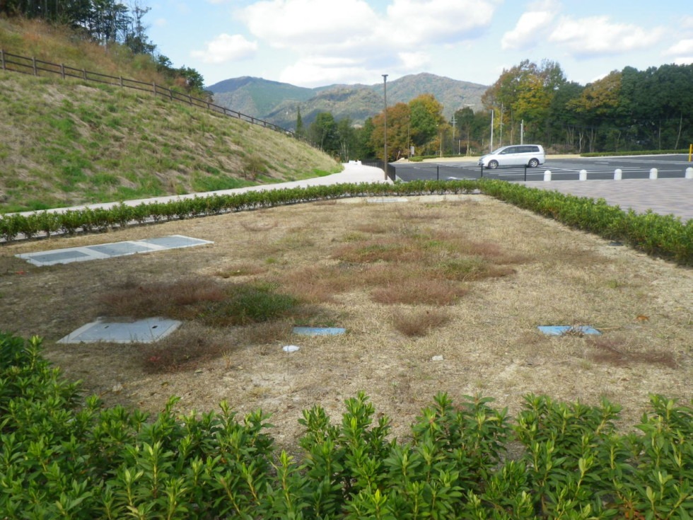 [画像]