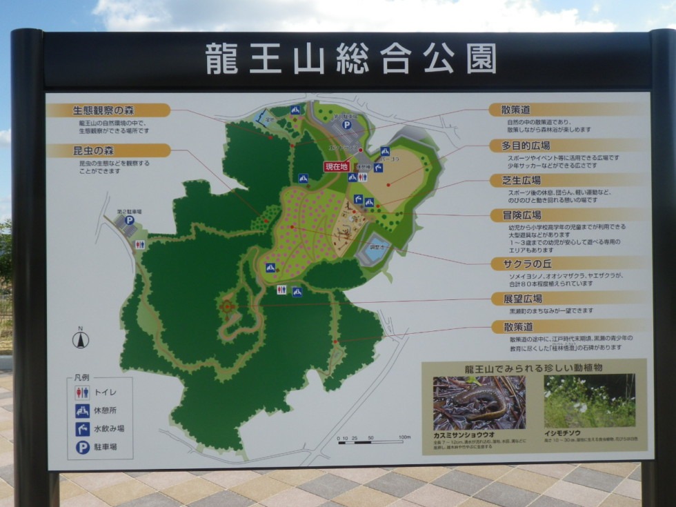 [画像]