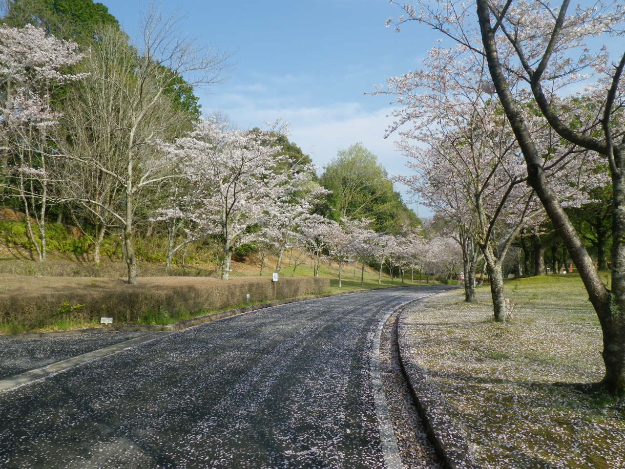 [画像]